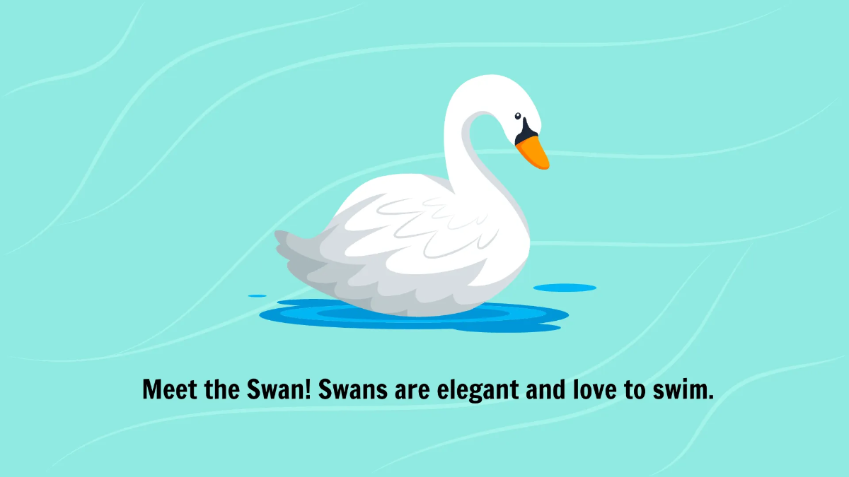 Free Introduction to Different Types of Birds Template to Edit Online