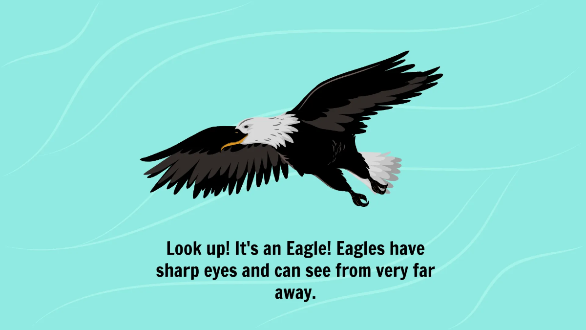 Free Introduction to Different Types of Birds Template to Edit Online