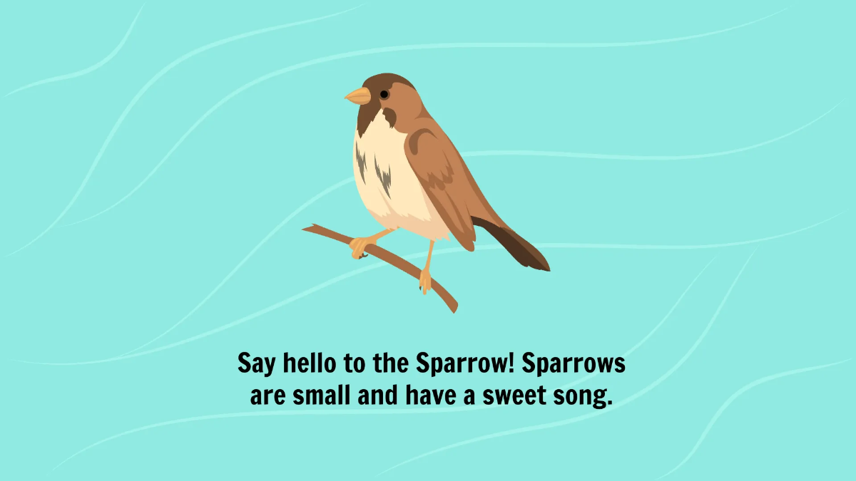 Free Introduction to Different Types of Birds Template to Edit Online