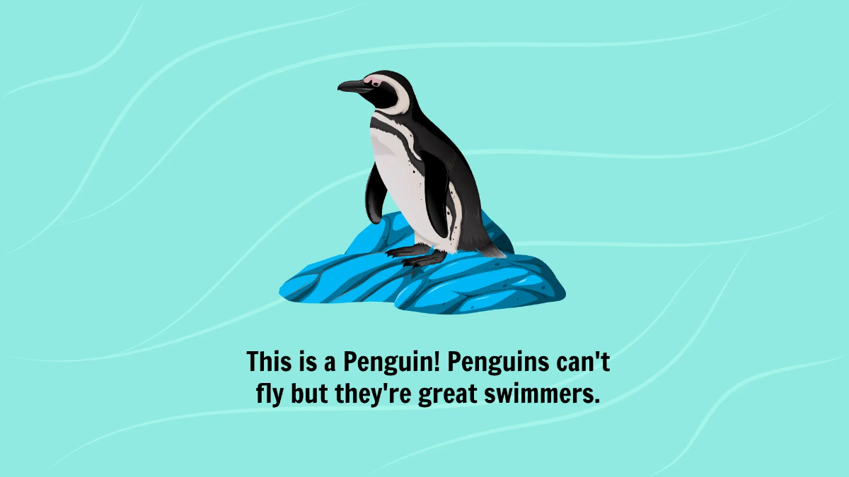 Free Introduction to Different Types of Birds Template to Edit Online