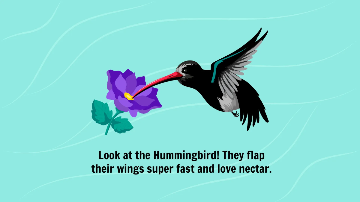 Free Introduction to Different Types of Birds Template to Edit Online