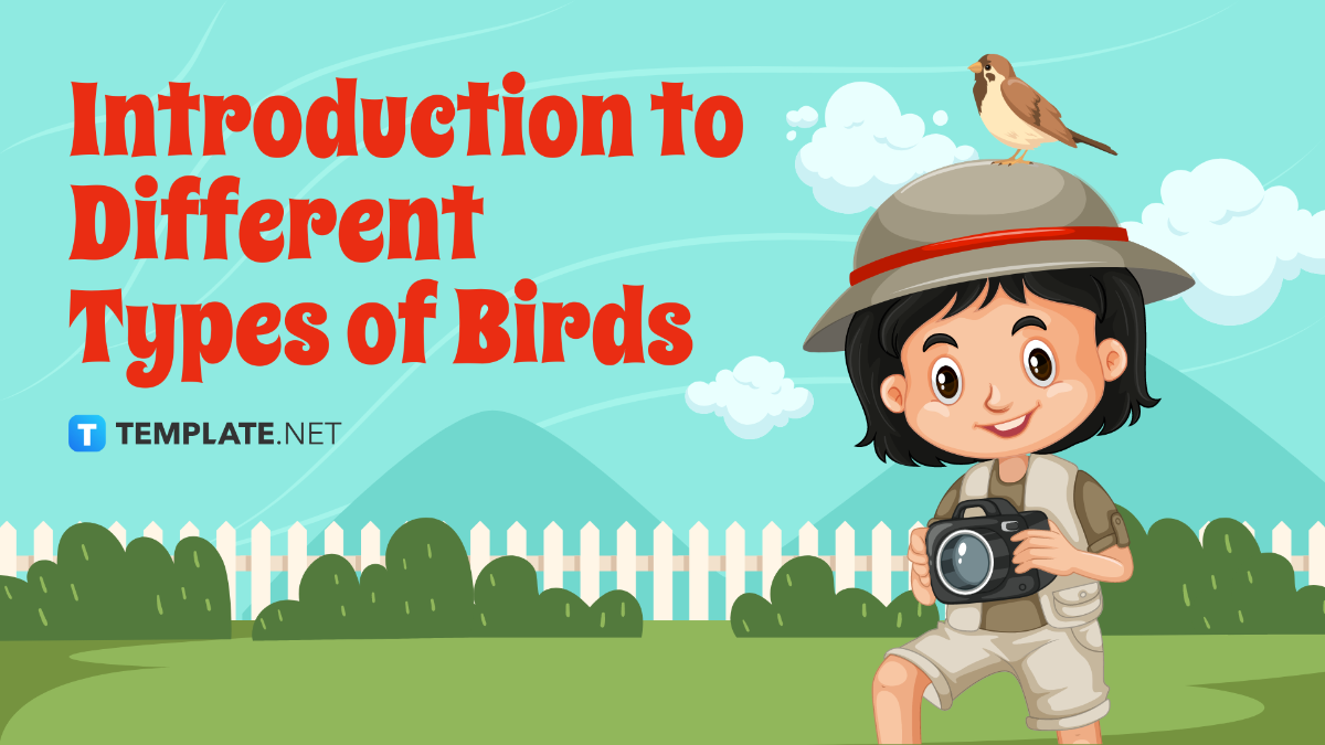 Free Introduction to Different Types of Birds Template
