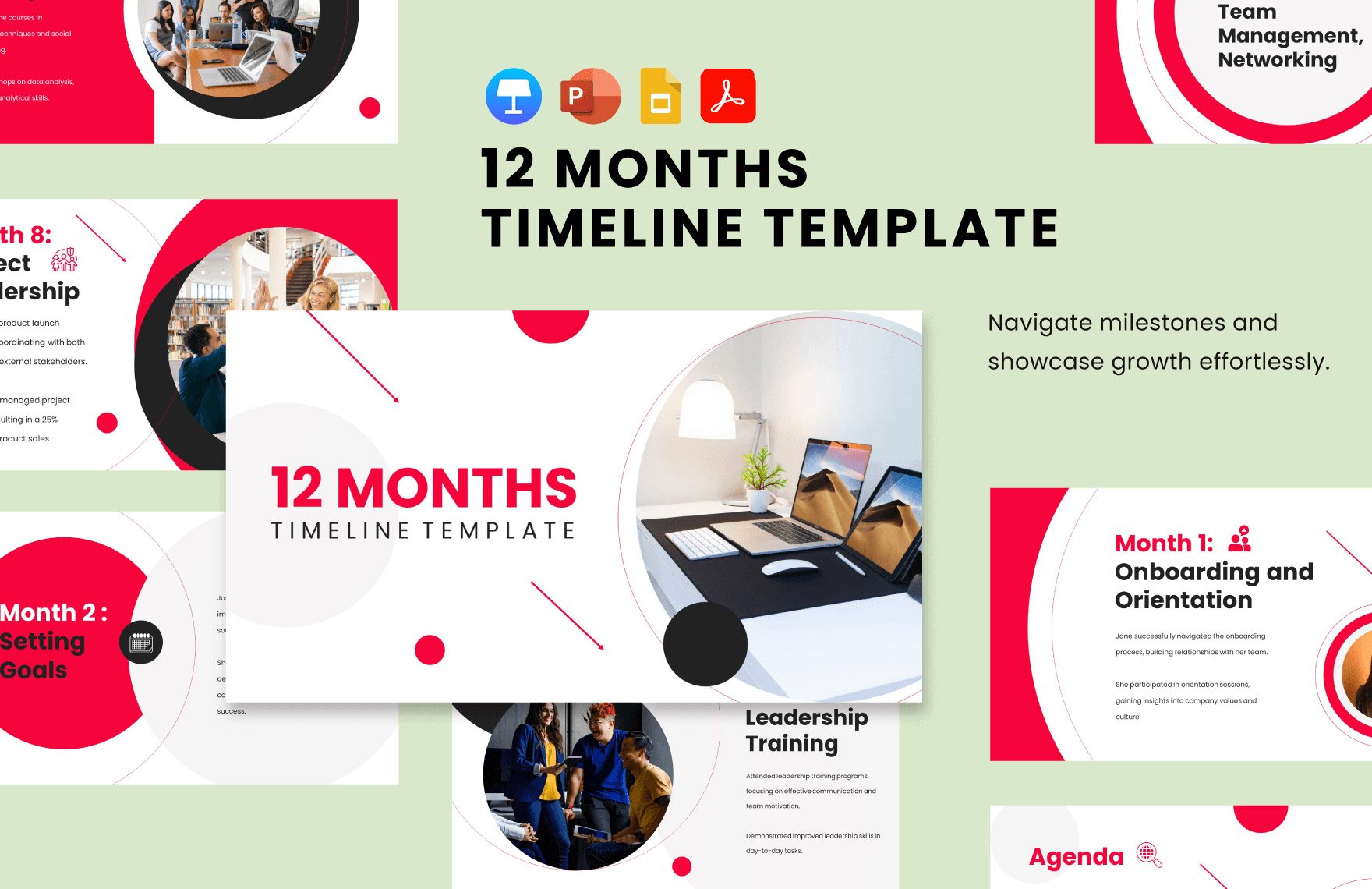 12 Months Timeline Template