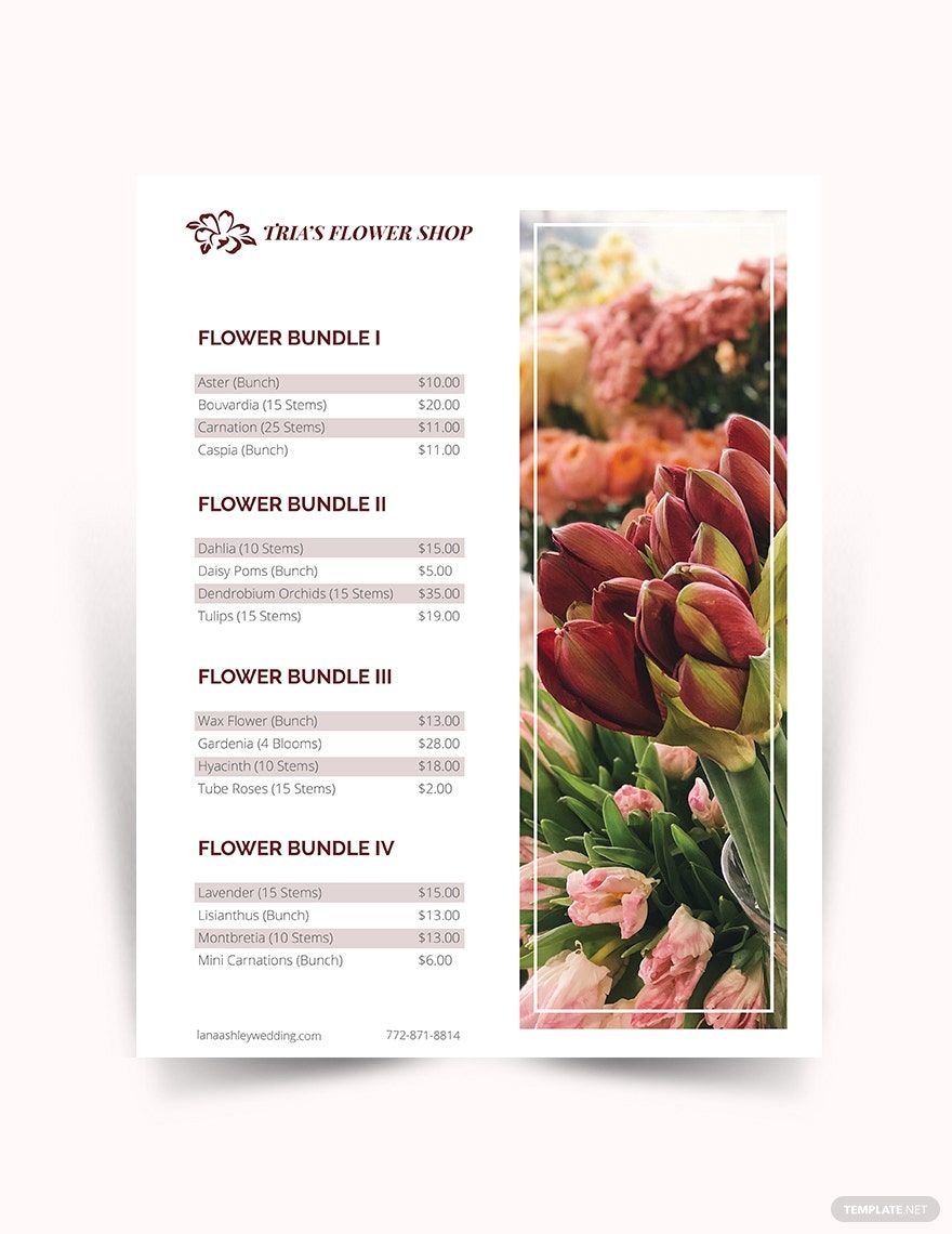 Wholesale Price List Template Google Docs Illustrator Word Apple 