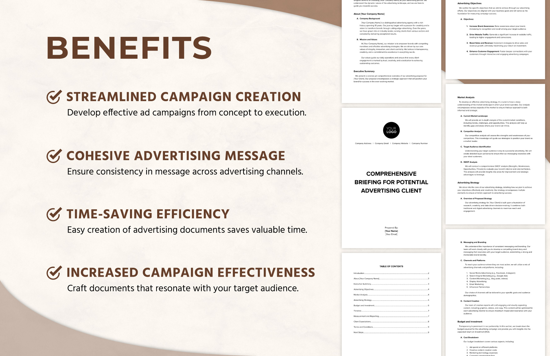 Comprehensive Briefing for Potential Advertising Client Template
