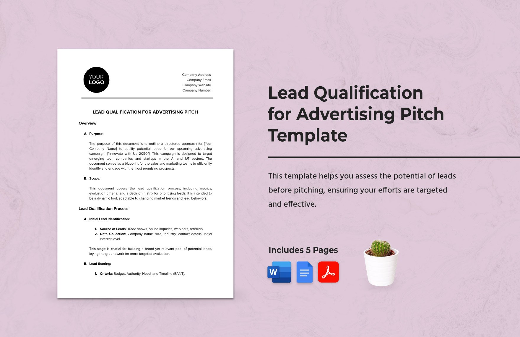 Lead Qualification for Advertising Pitch Template in Word, Google Docs, PDF