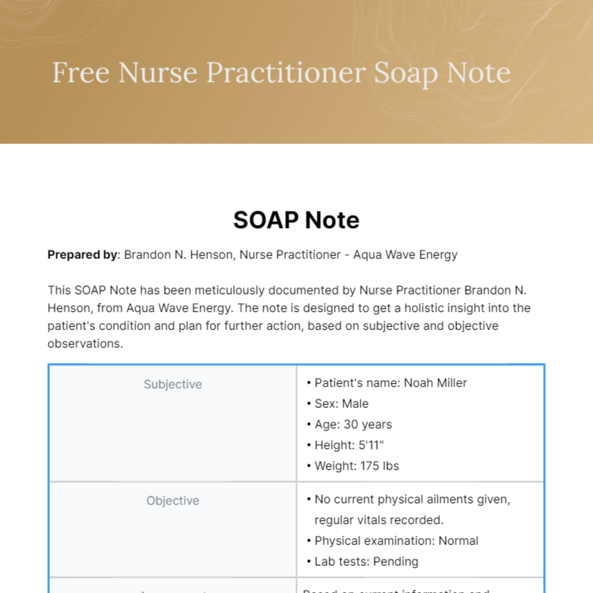 Nurse Practitioner Soap Note Template