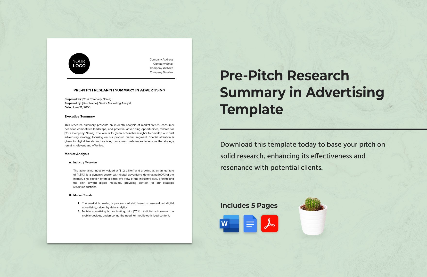 Pre-Pitch Research Summary in Advertising Template