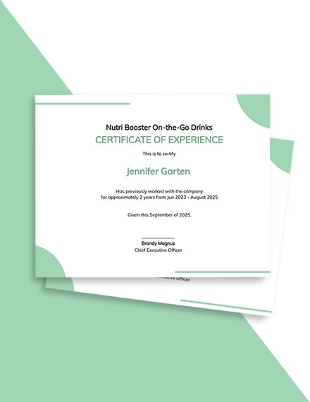 Company Experience Certificate Template