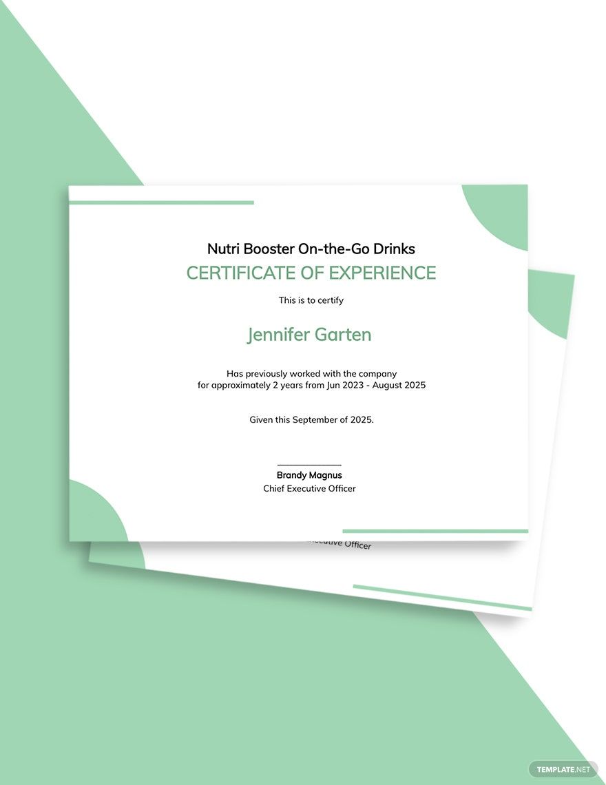 Company Experience Certificate Template