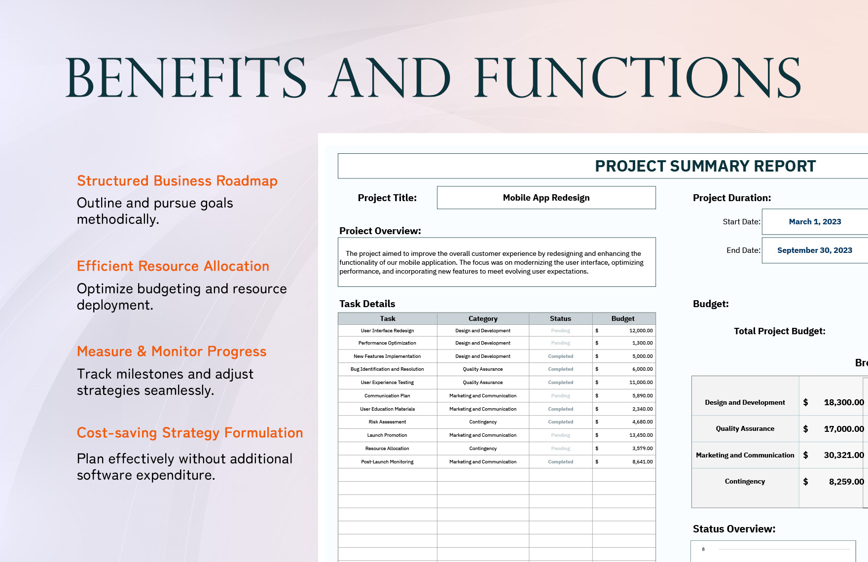 Project Summary Report Template
