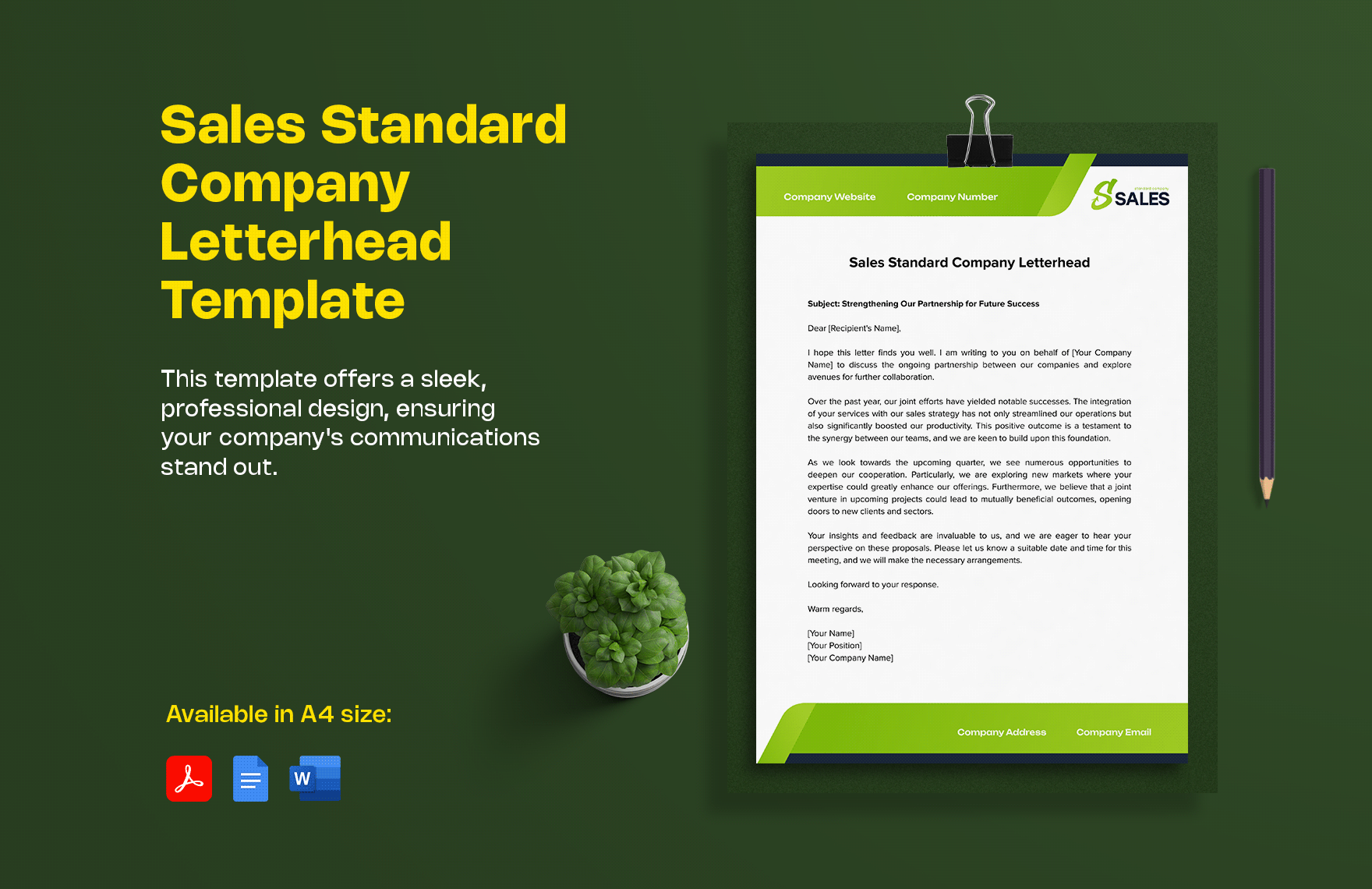 Sales Standard Company Letterhead Template