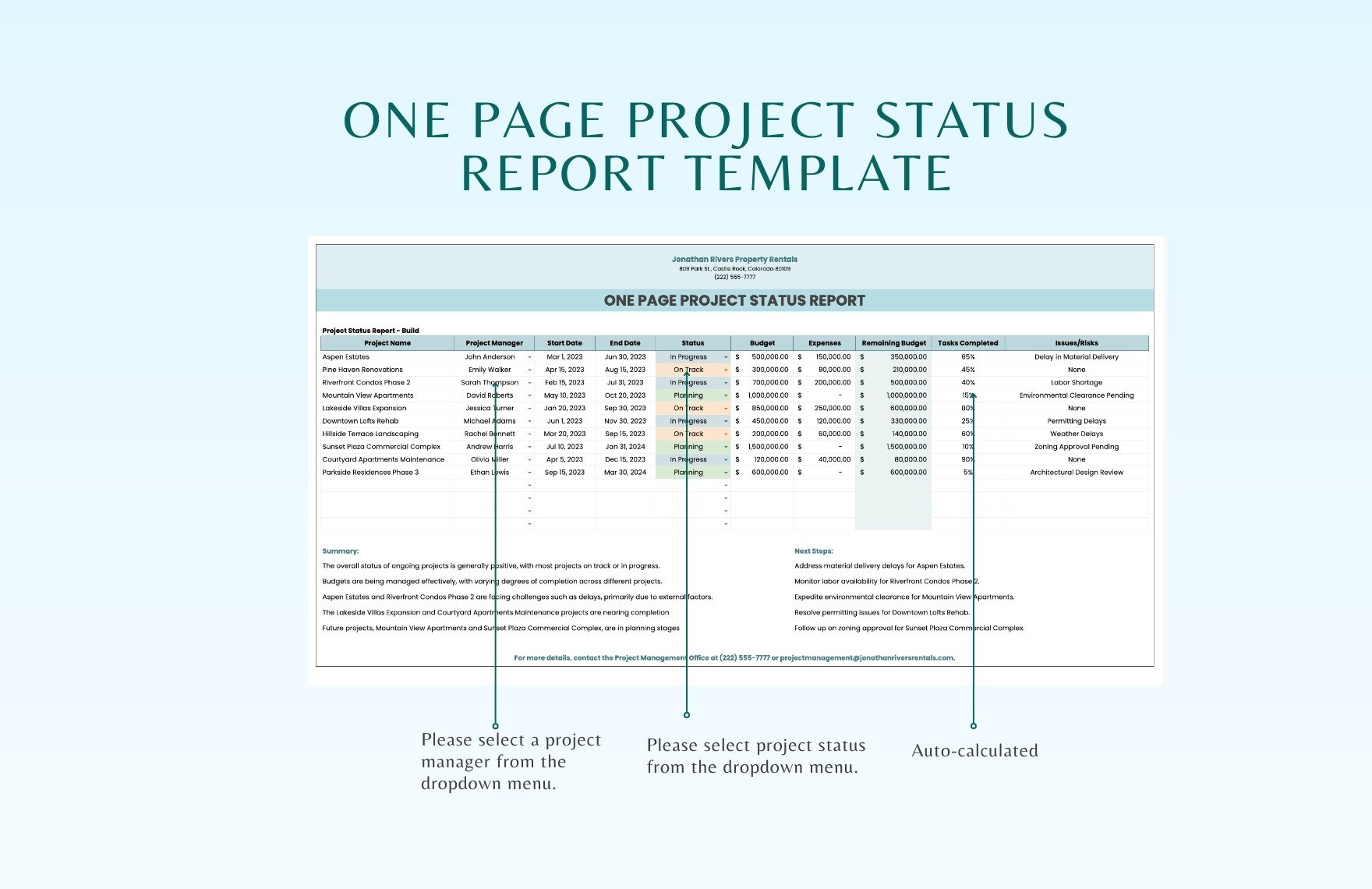 One Page Project Status Report Template