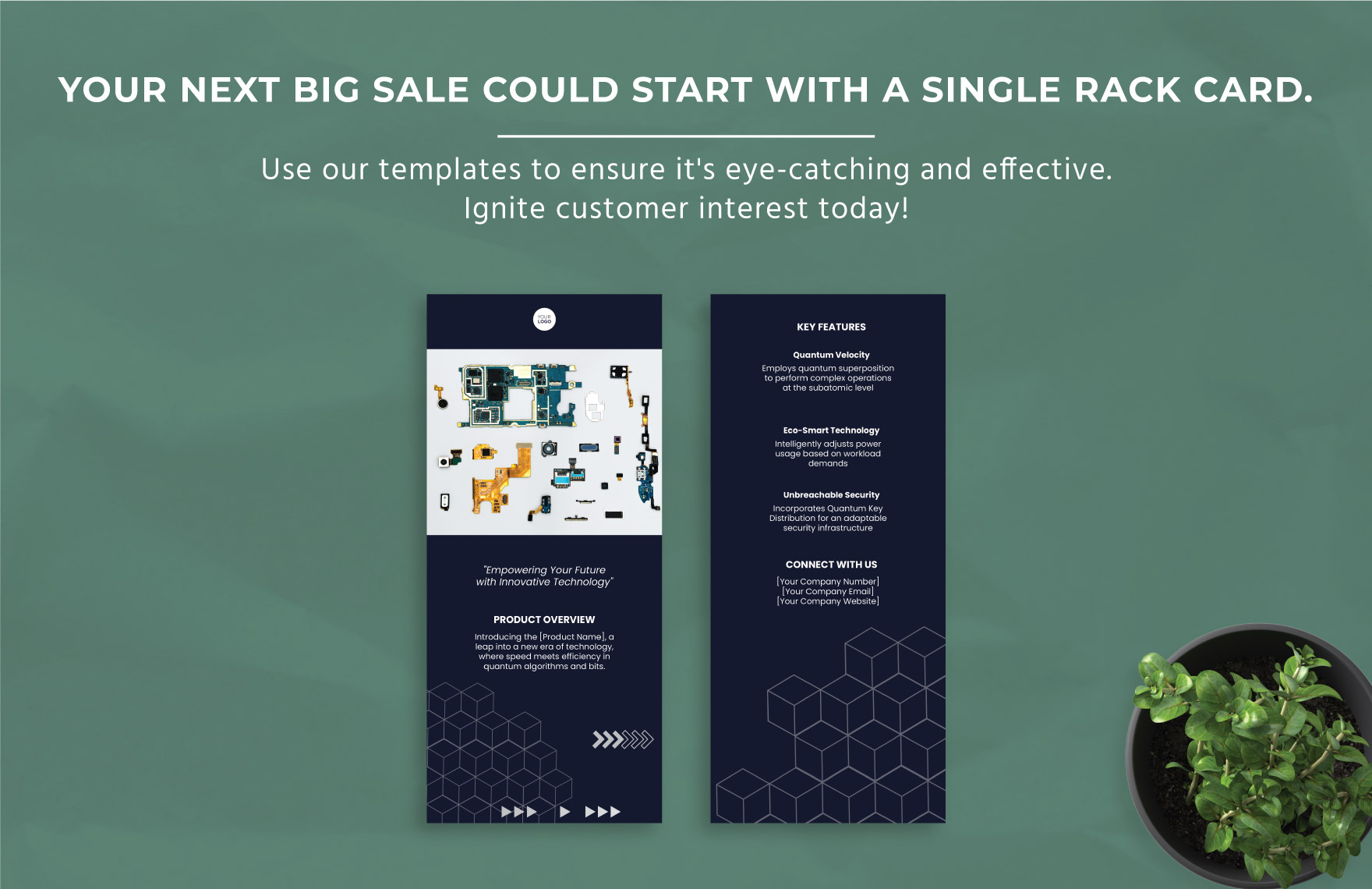 Sales New Product Rack Card Template