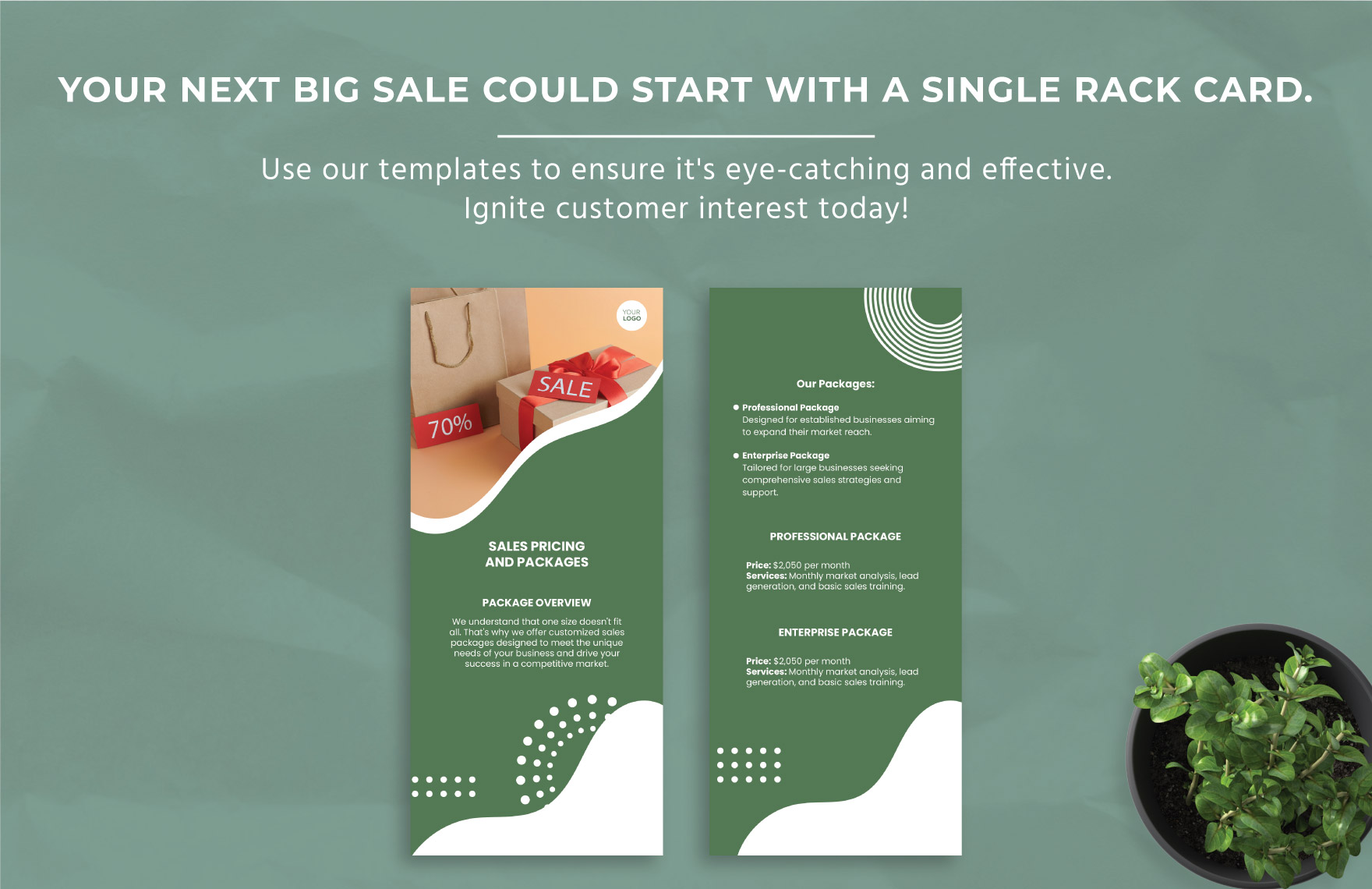 Sales Pricing and Packages Rack Card Template
