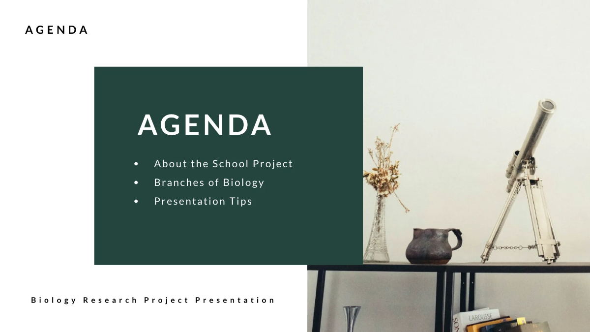 Free School Project Presentation Template to Edit Online