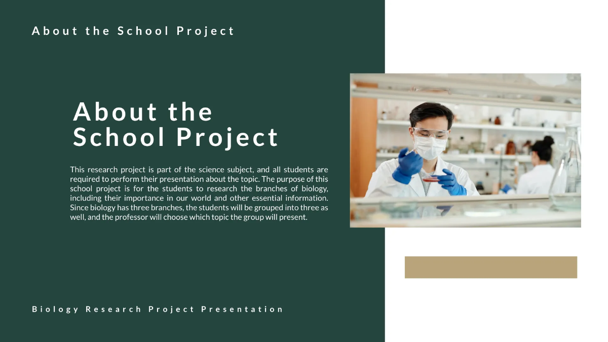 Free School Project Presentation Template to Edit Online