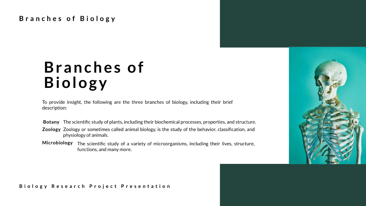 Free School Project Presentation Template to Edit Online