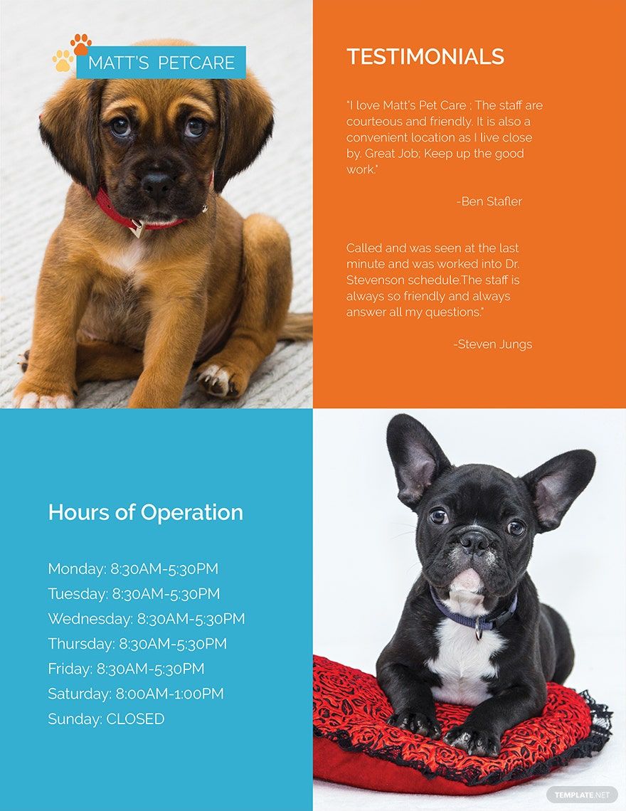 Pet Care Flyer Template Google Docs Illustrator InDesign Word 