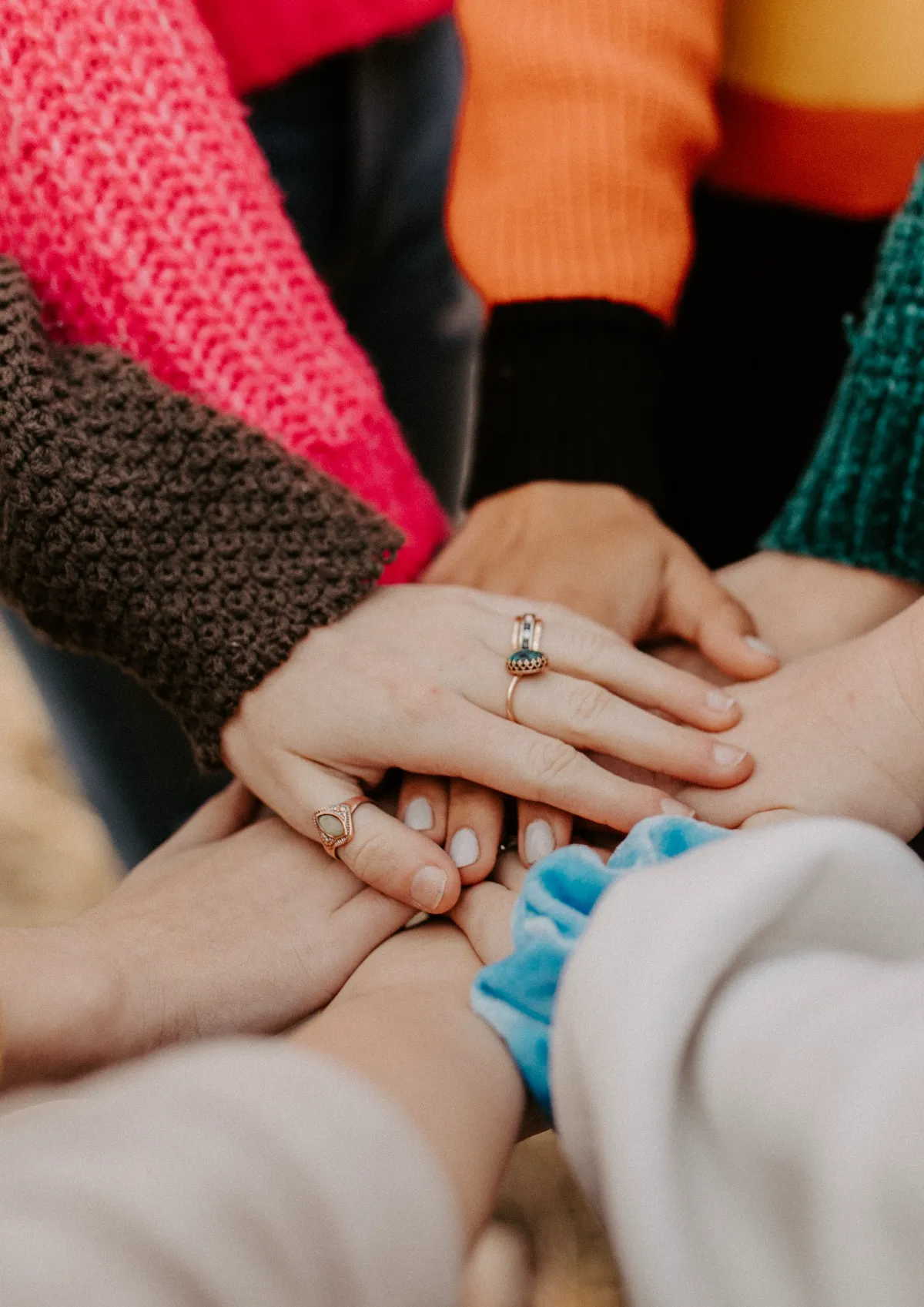 Free Modern Non-Profit Magnet Template to Edit Online