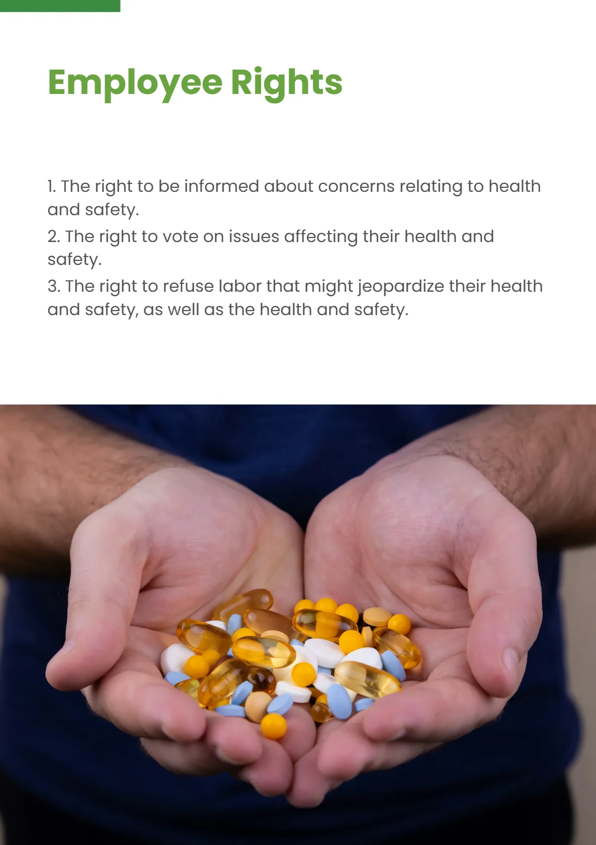 Free Pharmacy Employee Handbook Template to Edit Online