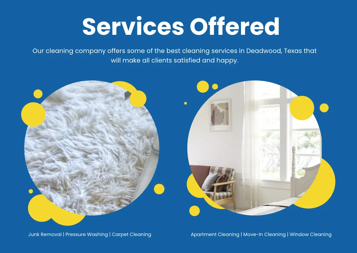 Free Cleaning Company Profile Sample Template to Edit Online