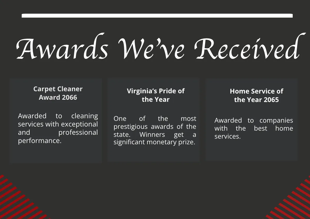 Free Carpet Cleaning Company Profile Template to Edit Online