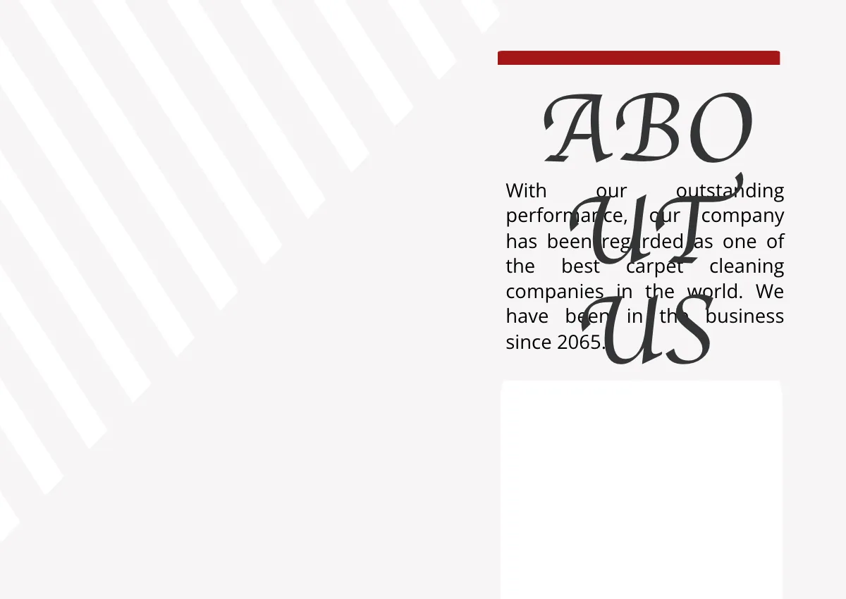 Free Carpet Cleaning Company Profile Template to Edit Online