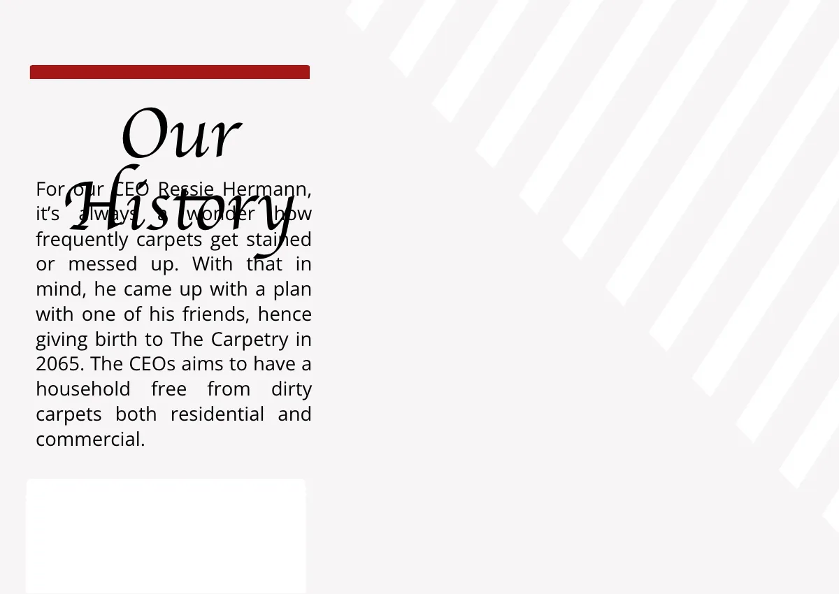 Free Carpet Cleaning Company Profile Template to Edit Online