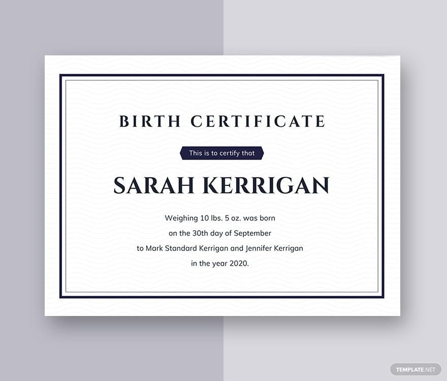 Blank Birth Certificate Sample Template in Word, Google Docs, Illustrator, PSD, Apple Pages, Publisher