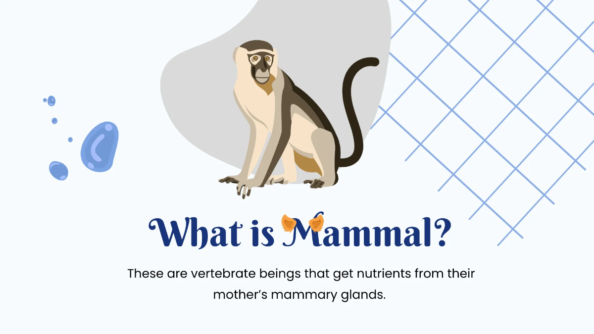 Free Animals Life Cycle Class Presentation Template to Edit Online