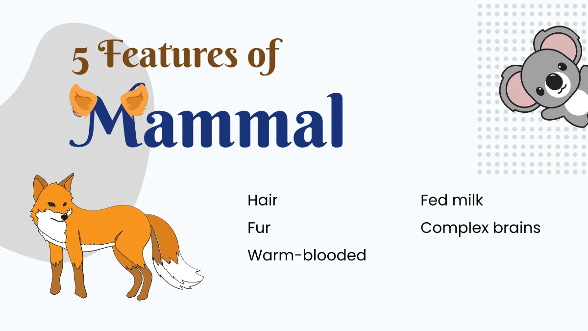 Free Animals Life Cycle Class Presentation Template to Edit Online