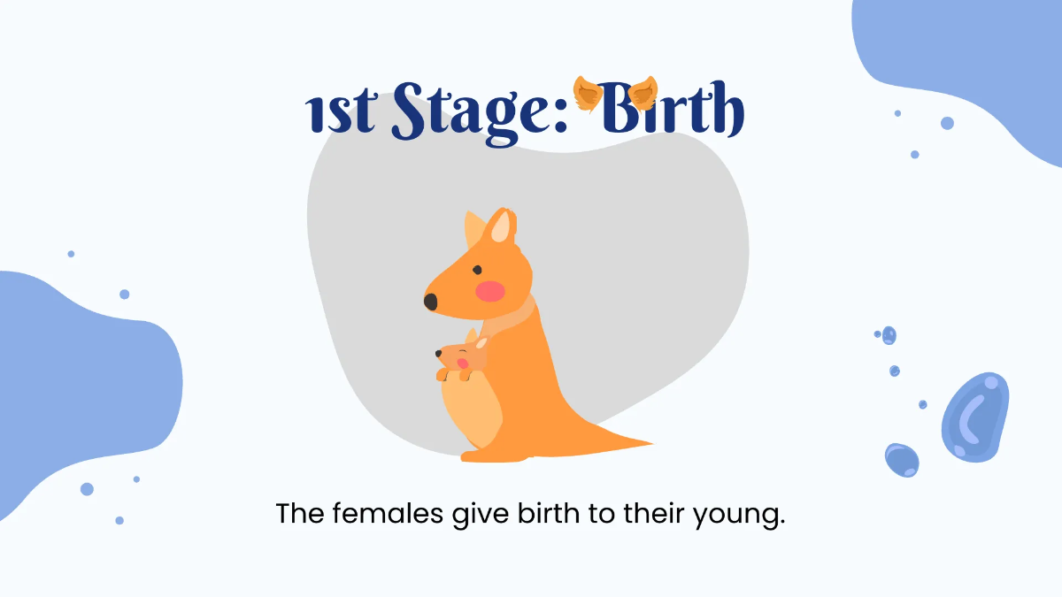 Free Animals Life Cycle Class Presentation Template to Edit Online