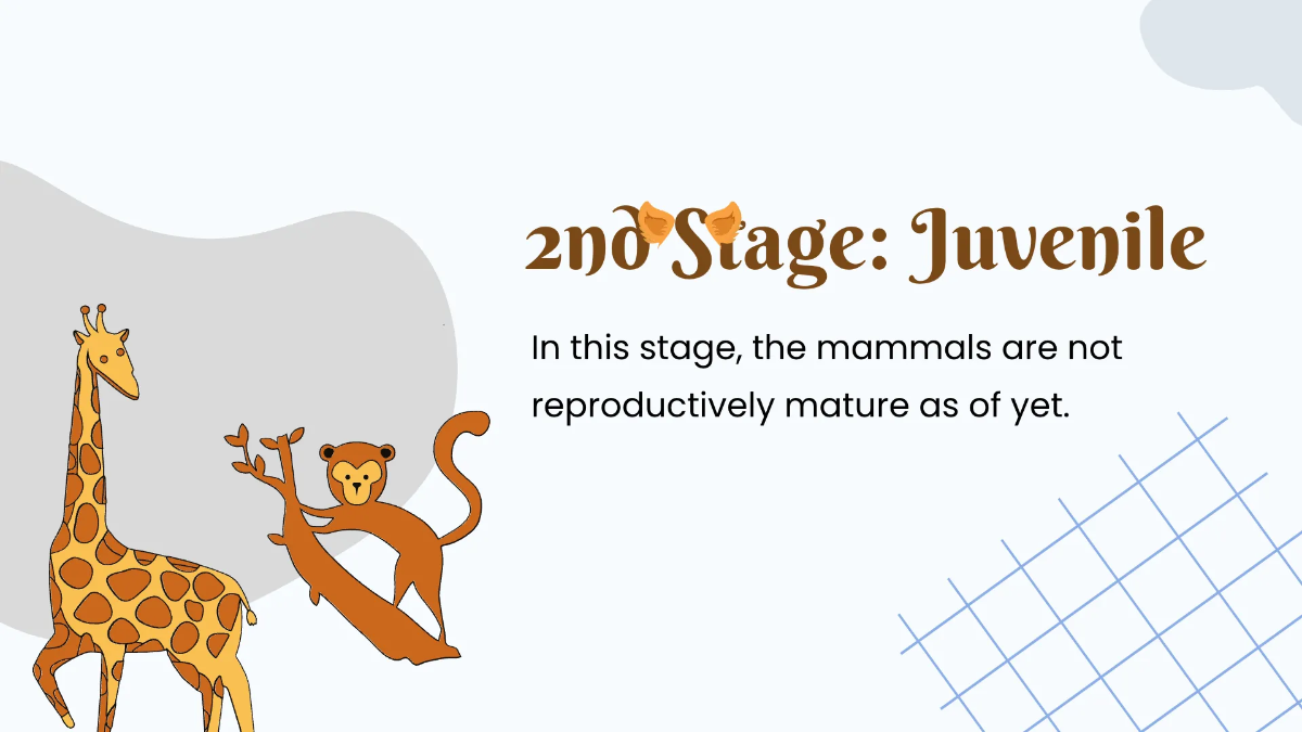 Free Animals Life Cycle Class Presentation Template to Edit Online