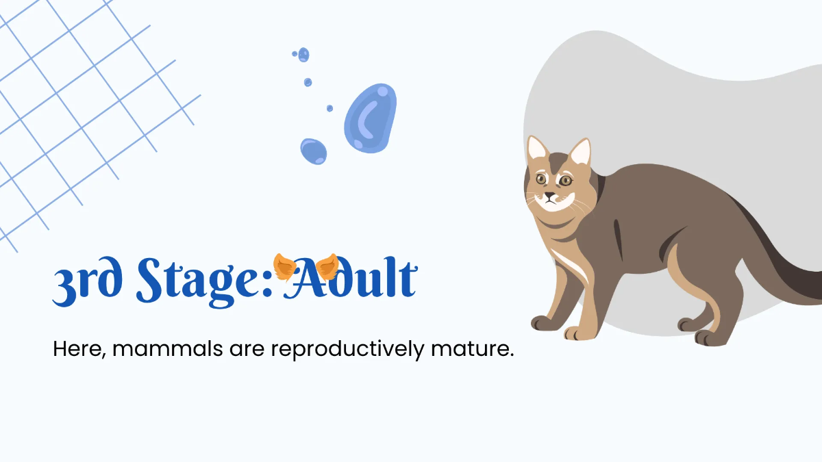 Free Animals Life Cycle Class Presentation Template to Edit Online