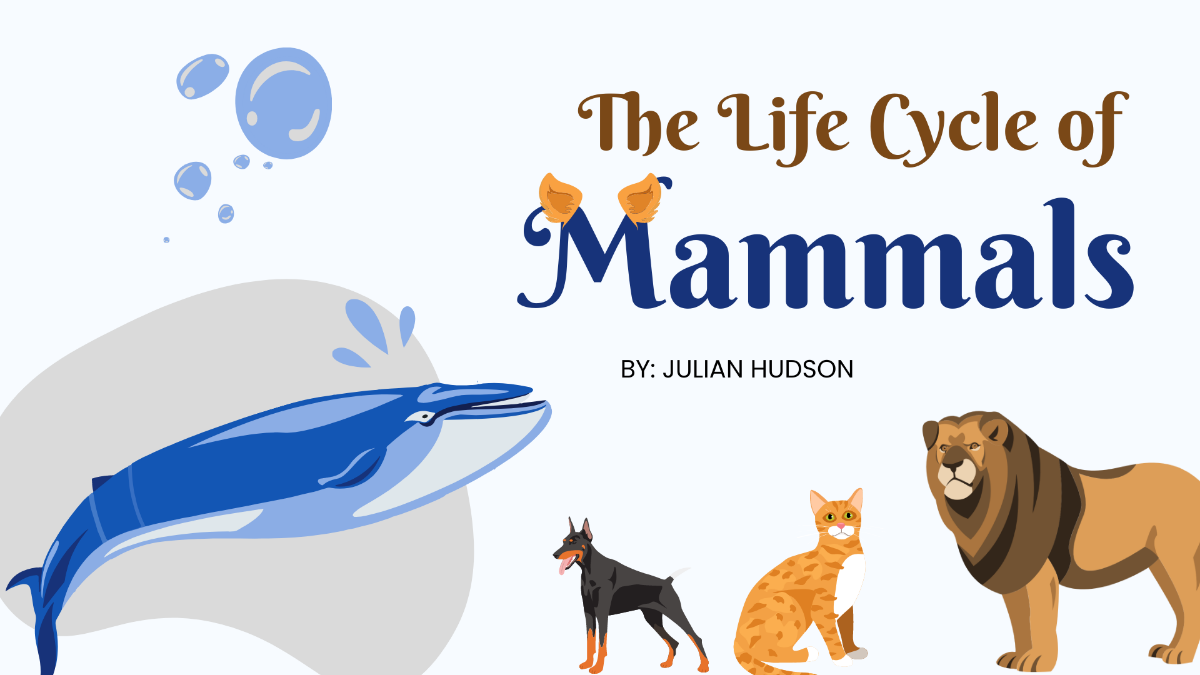 Animals Life Cycle Class Presentation Template