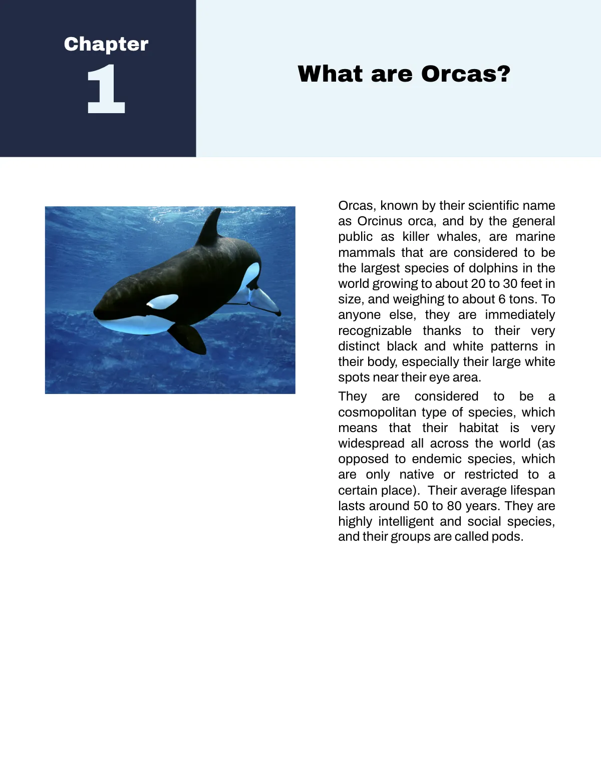 Free Nonfiction Book Template to Edit Online