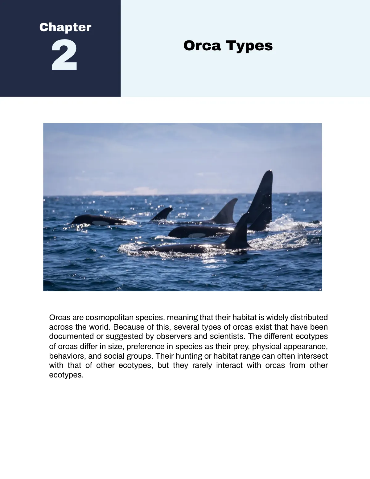 Free Nonfiction Book Template to Edit Online