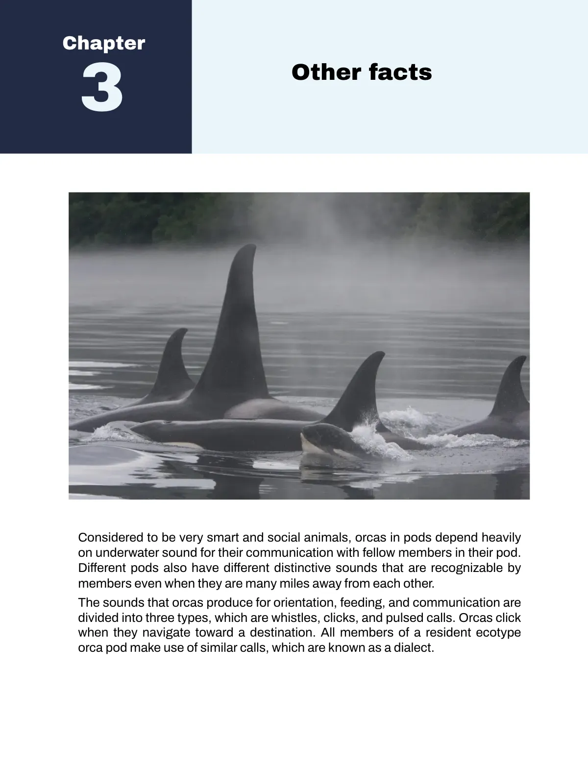 Free Nonfiction Book Template to Edit Online