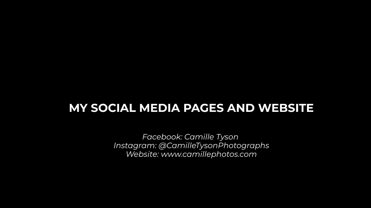 Free Art Director Portfolio Presentation Template to Edit Online