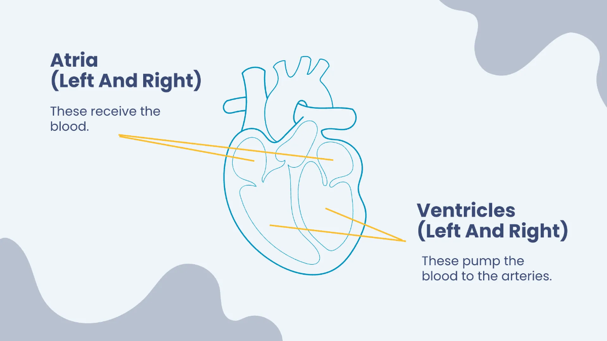 Free Aesthetic Science Presentation Template to Edit Online