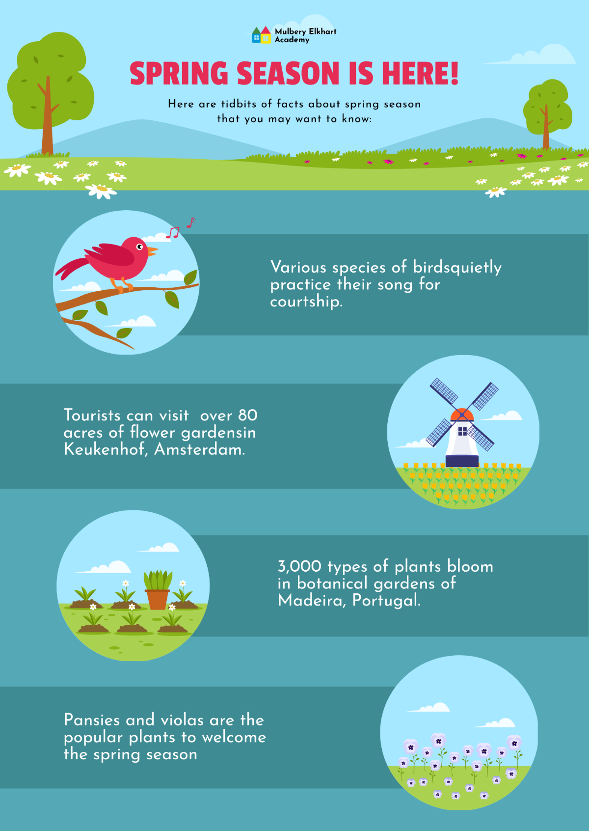 Spring Infographic Template