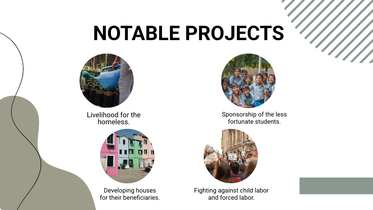 Free Biography Presentation Template to Edit Online