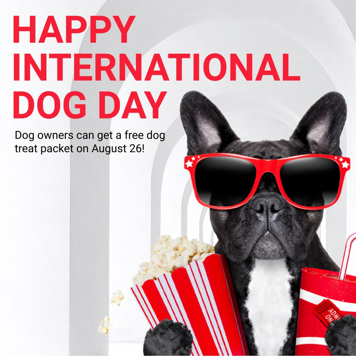 Free International Dog Day  WhatsApp Post Template