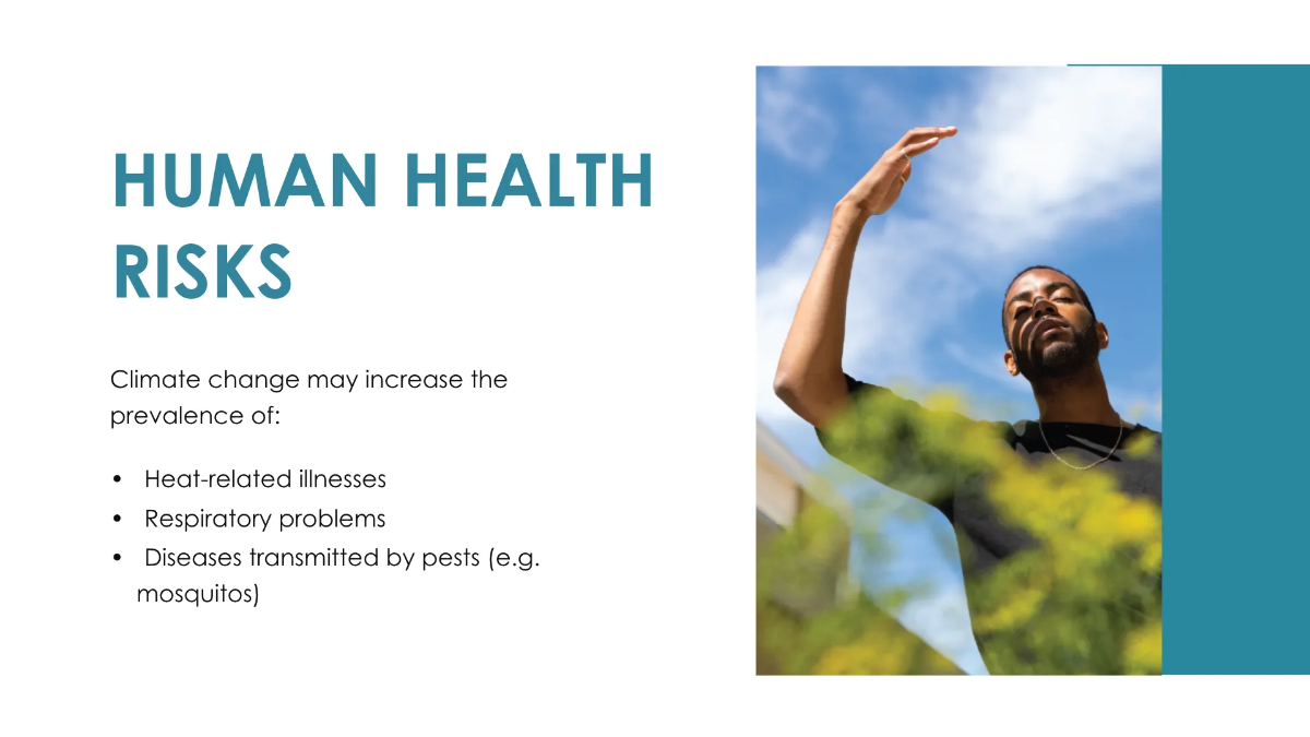 Free Google Slide Template to Edit Online