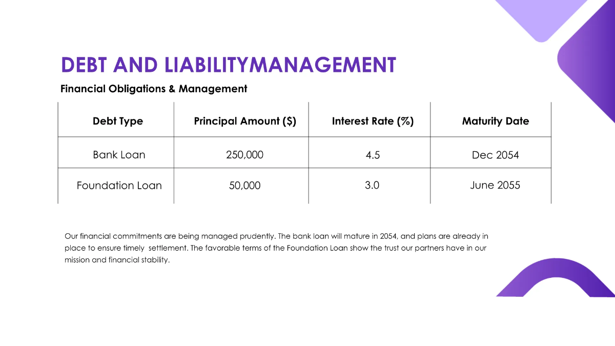 Free Nonprofit Organization Finance Presentation Template to Edit Online