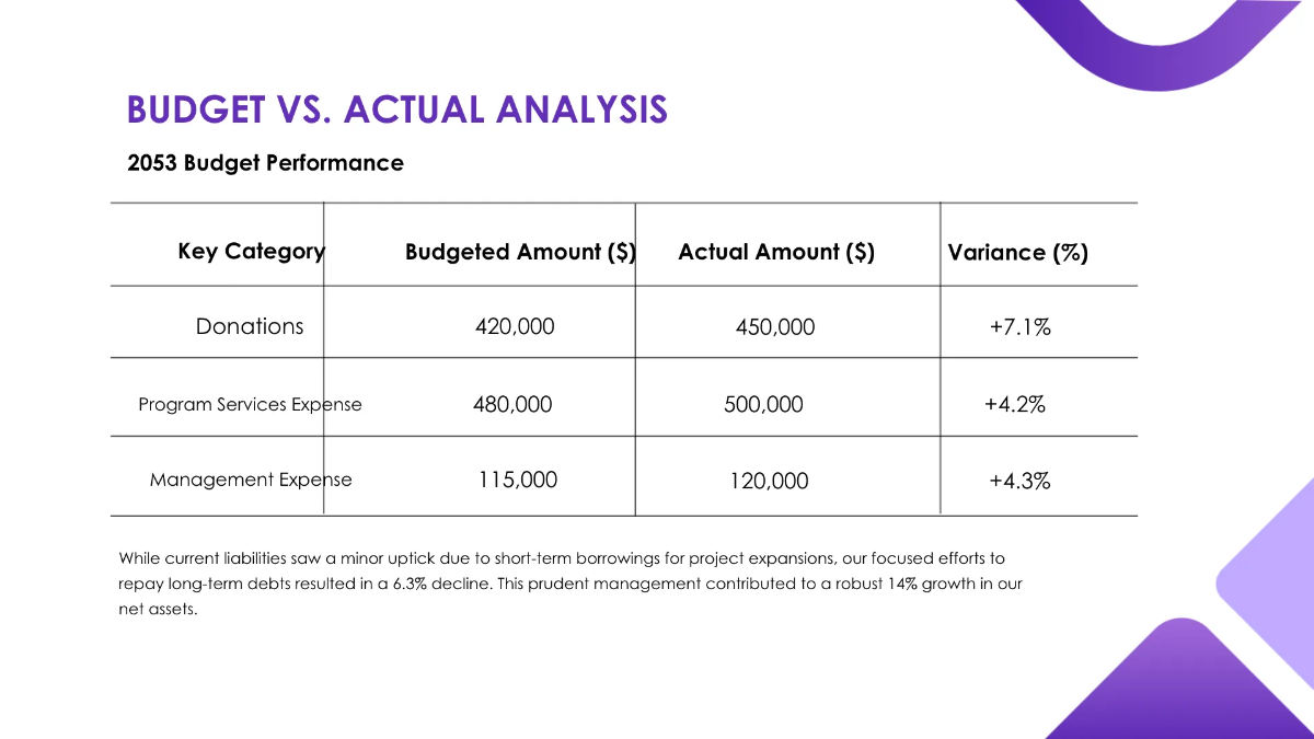 Free Nonprofit Organization Finance Presentation Template to Edit Online