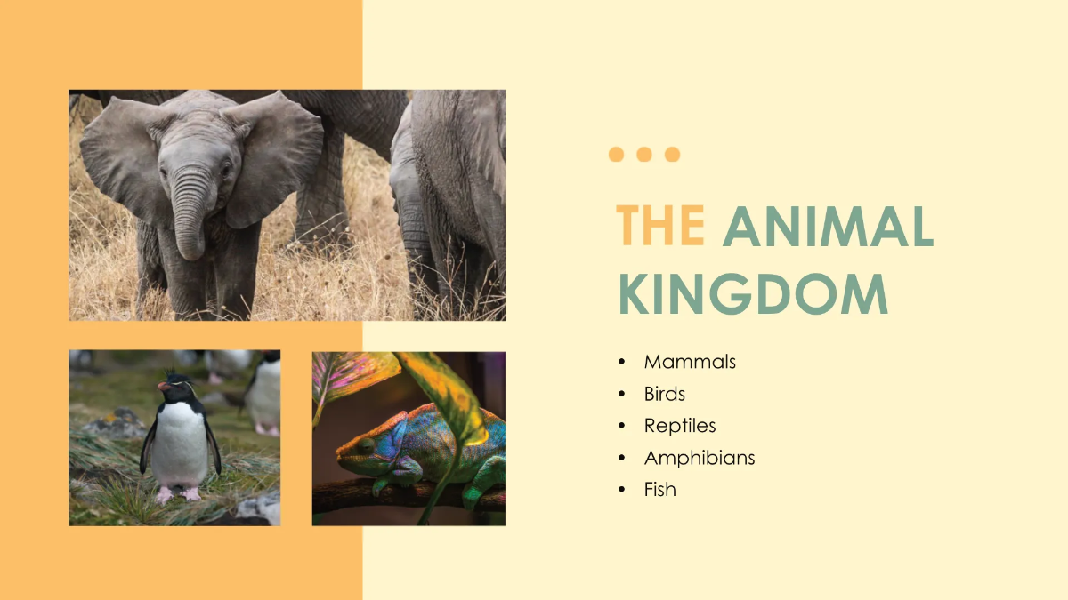 Free For Students Template to Edit Online