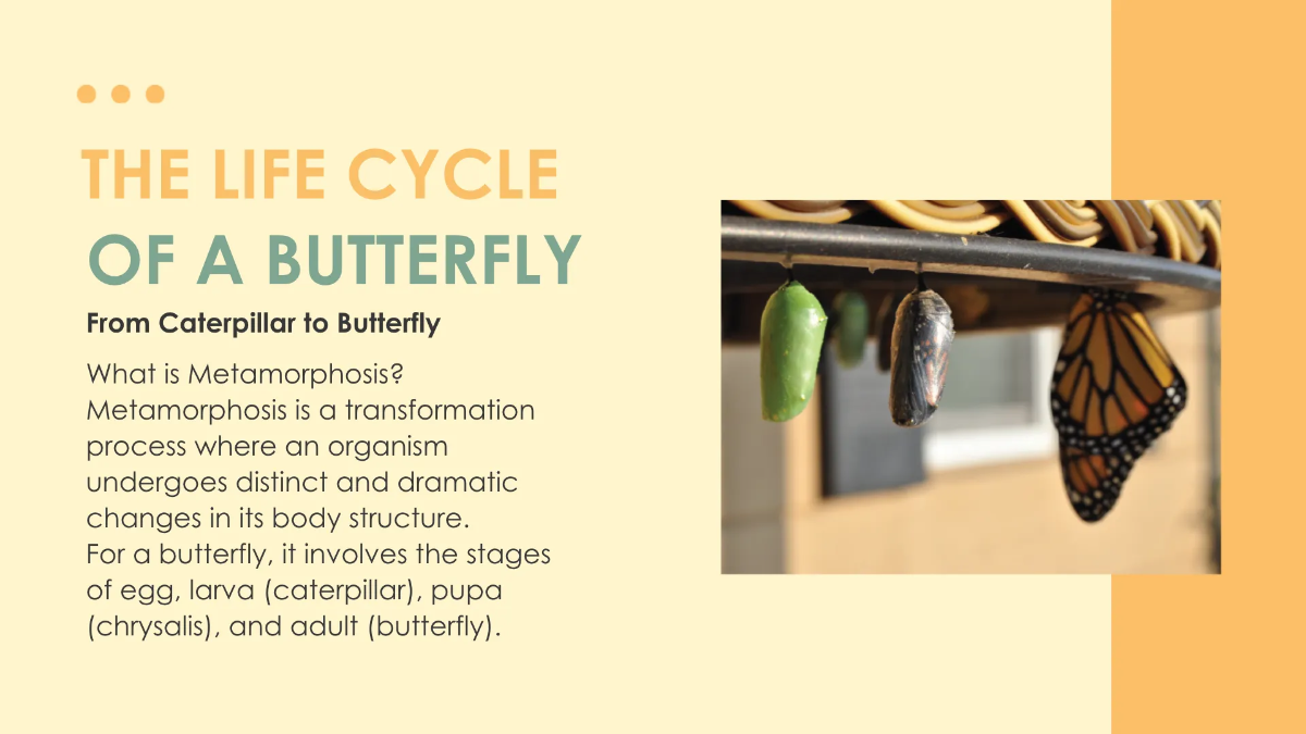 Free For Students Template to Edit Online