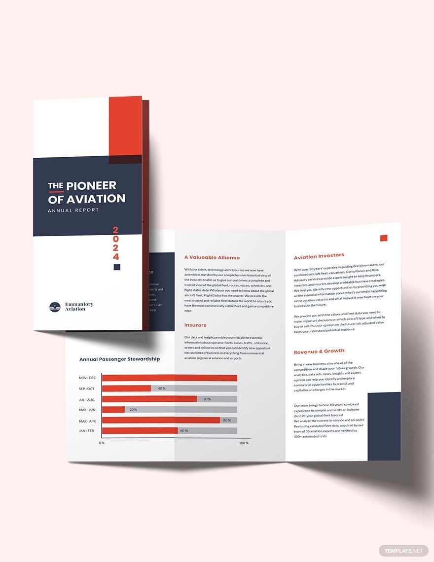 Aviation Annual Report Tri-fold Brochure Template